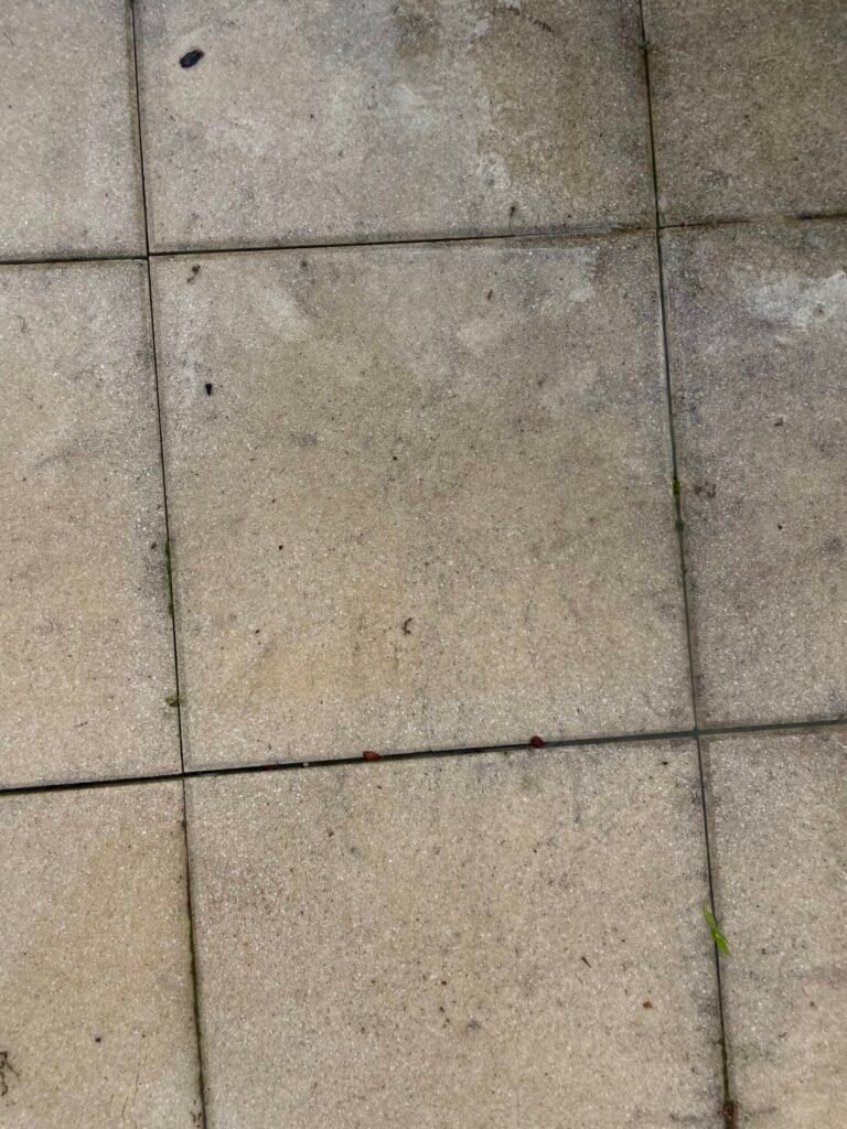 Terrasse en dalles avant nettoyage
